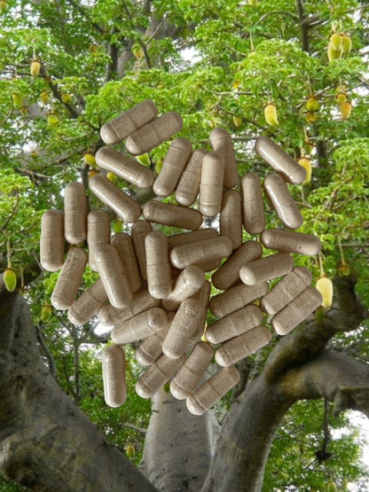 Boabab Superfruit (90 Capsules)