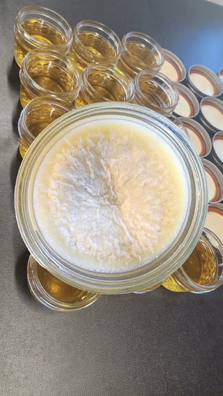 Shea Butter (4oz Jar)