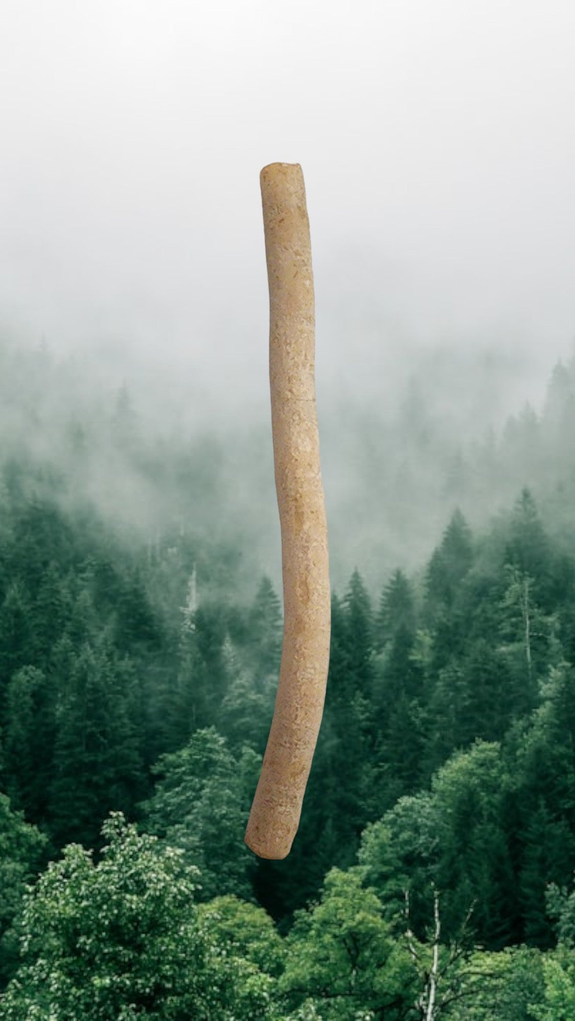 Miswak - Natural Toothbrush