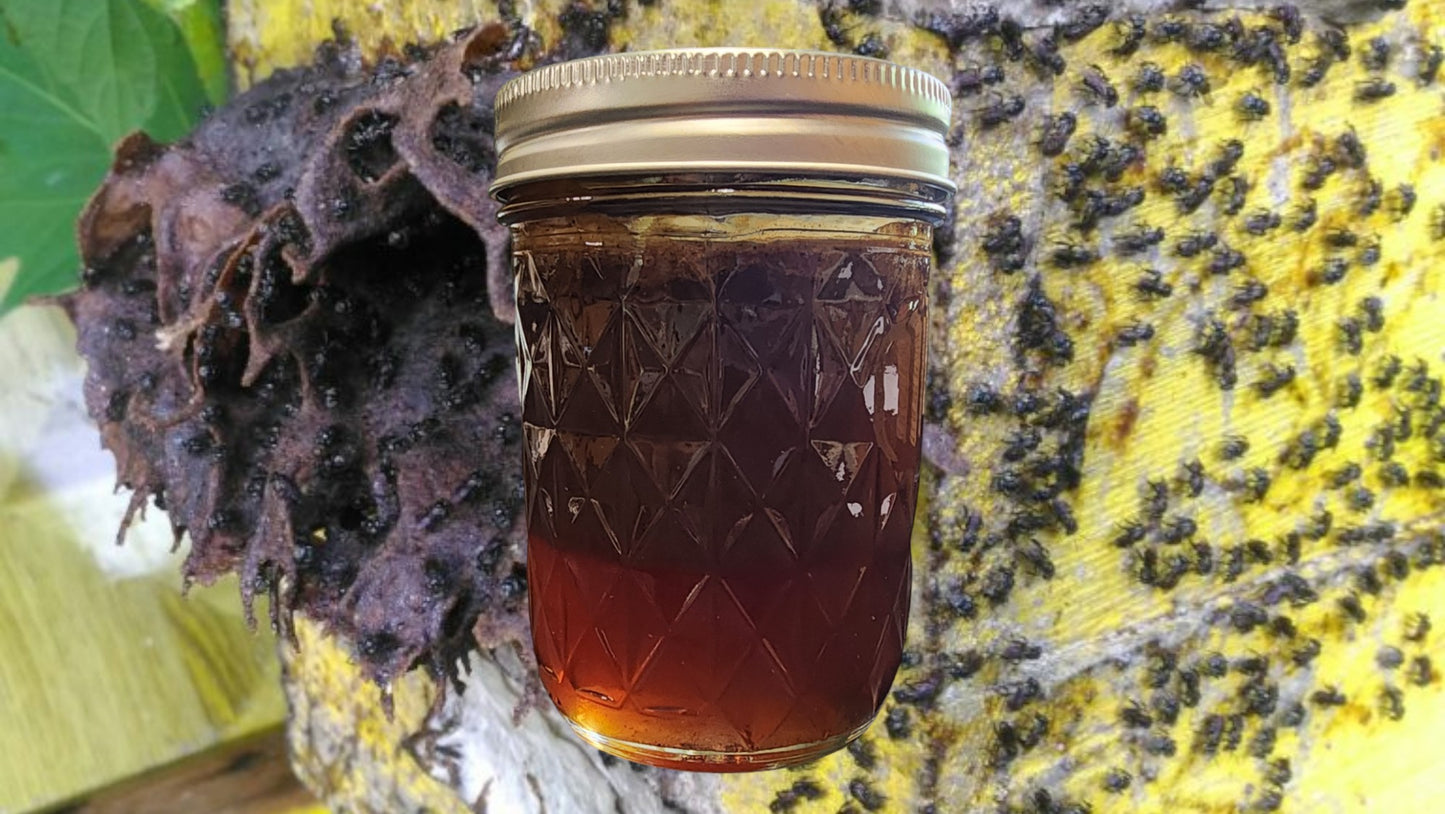 Stingless Bee Honey