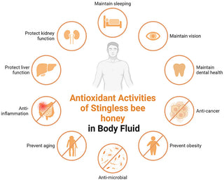 Stingless Bee Honey