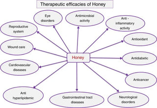 Stingless Bee Honey